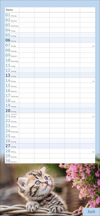 Produktbild: times&more Katzen Familienplaner 2027
