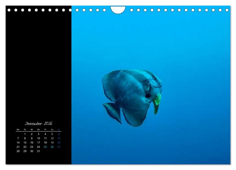 Produktbild: Malediven - dem Himmel so nah (Wandkalender 2026 DIN A4 quer), CALVENDO Monatskalender