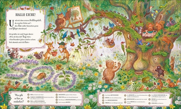 Produktbild: Wer feiert da im tiefen Wald?