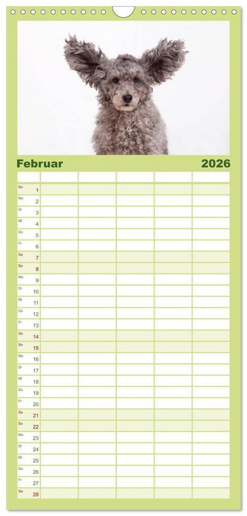 Produktbild: Familienplaner 2026 - SCHLAPPOHREN mit 5 Spalten (Wandkalender, 21 x 45 cm) CALVENDO