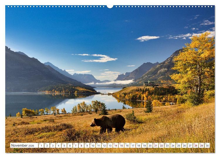 Produktbild: KANADA - Die B&auml;ren der Rocky Mountains (hochwertiger Premium Wandkalender 2026 DIN A2 quer), Kunstdruck in Hochglanz