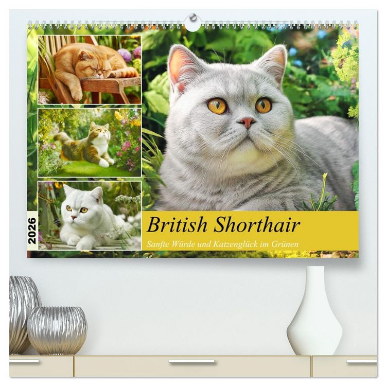 Produktbild: British Shorthair. Sanfte W&uuml;rde und Katzengl&uuml;ck im Gr&uuml;nen (hochwertiger Premium Wandkalender 2026 DIN A2 quer), Kunstdruck in Hochglanz