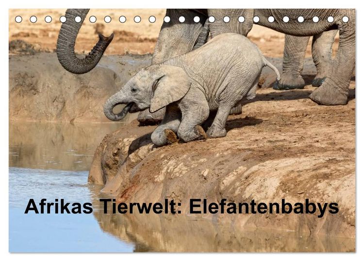 Produktbild: Afrikas Tierwelt: Elefantenbabys (Tischkalender 2026 DIN A5 quer), CALVENDO Monatskalender