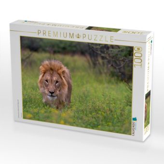 Produktbild: CALVENDO Puzzle L&ouml;wenmann w&auml;hrend der Regenzeit | 1000 Teile Lege-Gr&ouml;&szlig;e 64x48cm Foto-Puzzle f&uuml;r gl&uuml;ckliche Stunden