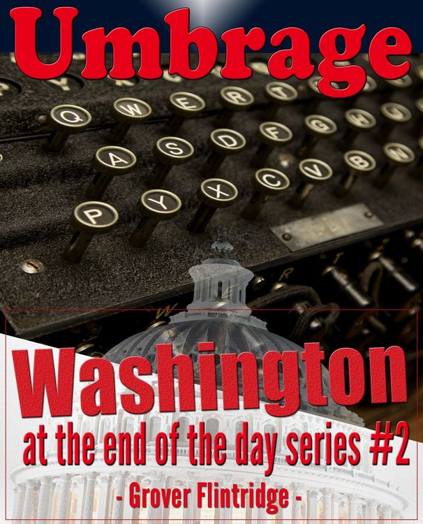 Produktbild: Umbrage (Washington At The End of the Day, #2)