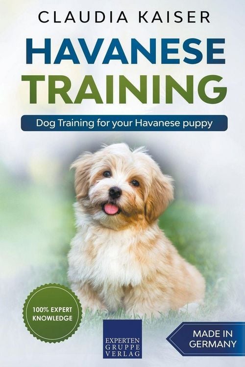 Produktbild: Havanese Training