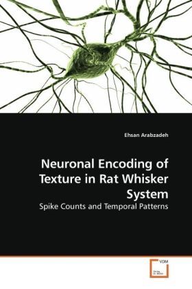 Produktbild: Arabzadeh, E: Neuronal Encoding of Texture in Rat Whisker Sy