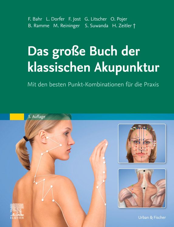 Produktbild: Das gro&szlig;e Buch der klassischen Akupunktur