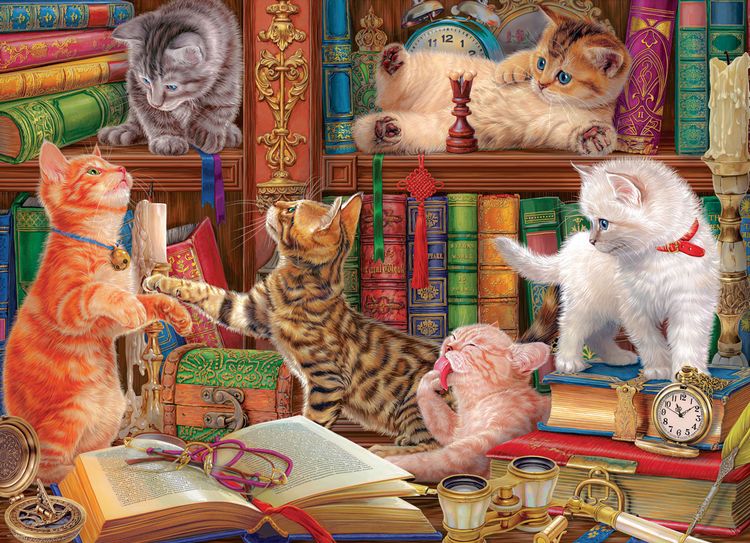 Produktbild: K&auml;tzchen in Bibliothek