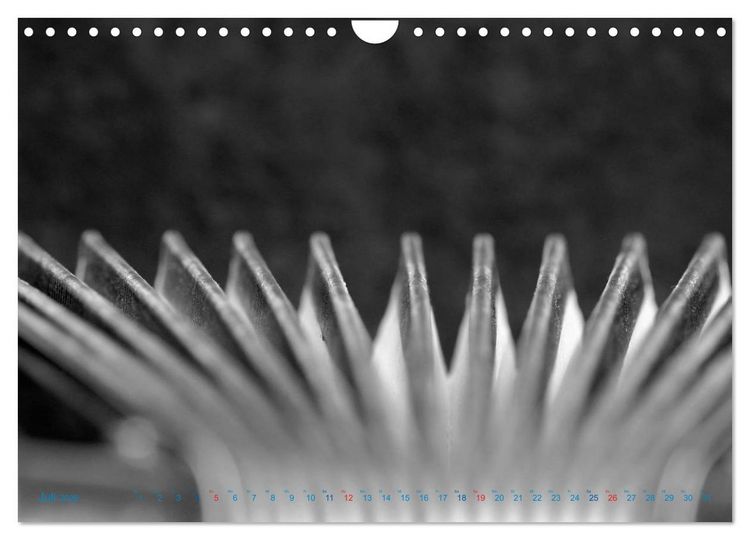 Produktbild: Akkordeon - close up (Wandkalender 2026 DIN A4 quer), CALVENDO Monatskalender