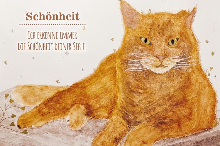 Produktbild: Botschaften unserer Tiere - Liebevolle Impulse f&uuml;r die Mensch-Tier-Beziehung
