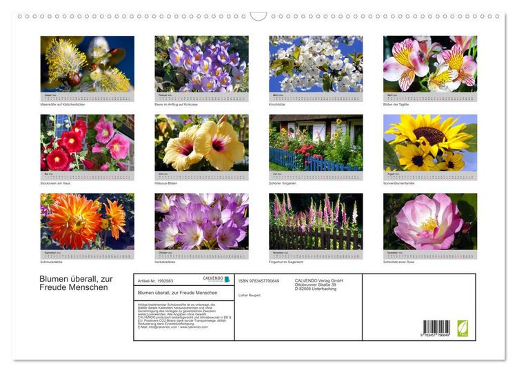 Produktbild: Blumen &uuml;berall, zur Freude Menschen (Wandkalender 2026 DIN A2 quer), CALVENDO Monatskalender