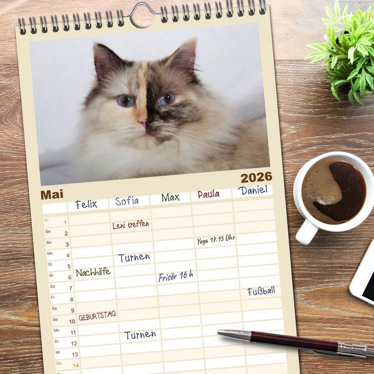 Produktbild: Familienplaner 2026 - Ragdolls mit 5 Spalten (Wandkalender, 21 x 45 cm) CALVENDO