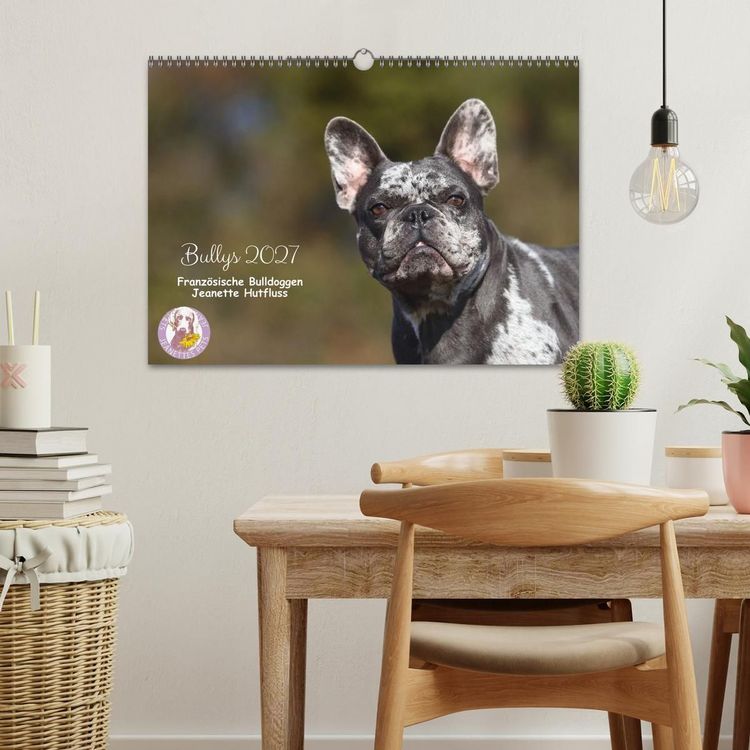 Produktbild: Bullys - Franz&ouml;sische Bulldoggen 2027 (Wandkalender 2027 DIN A3 quer), CALVENDO Monatskalender