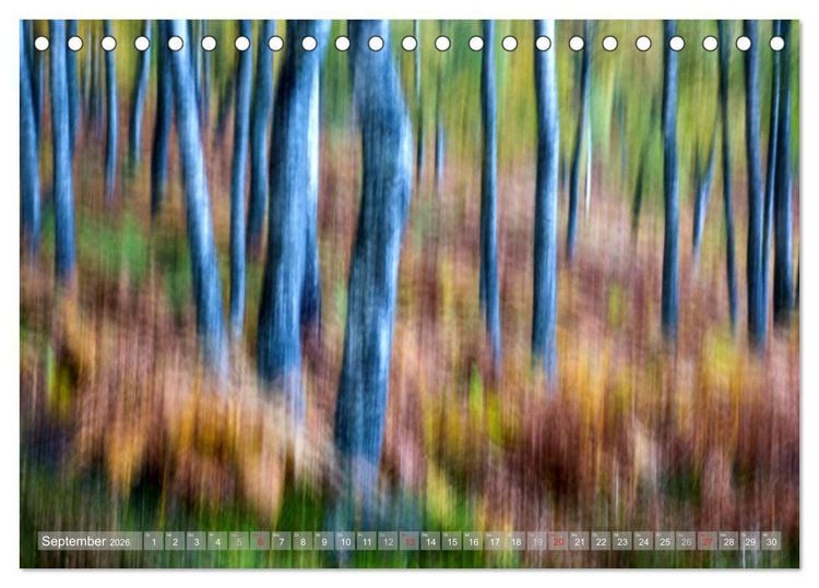Produktbild: Atelier Wald - gemalt mit Licht (Tischkalender 2026 DIN A5 quer), CALVENDO Monatskalender