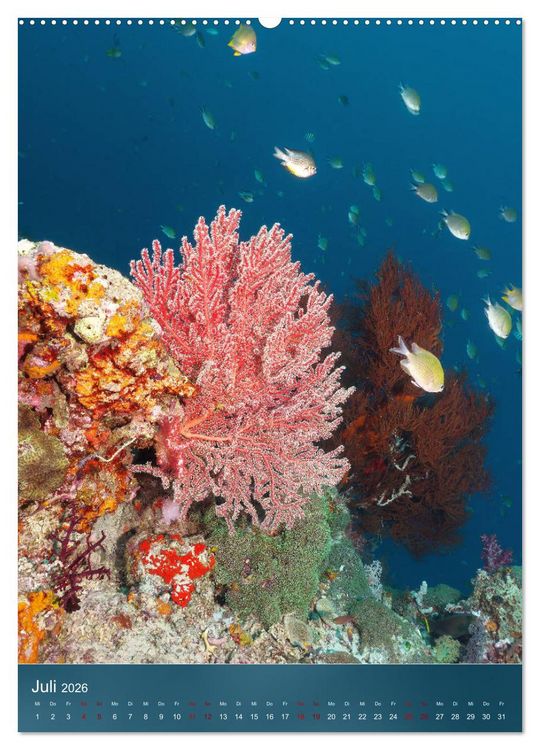 Produktbild: Farbenfrohe Unterwasserwelt (hochwertiger Premium Wandkalender 2026 DIN A2 hoch), Kunstdruck in Hochglanz