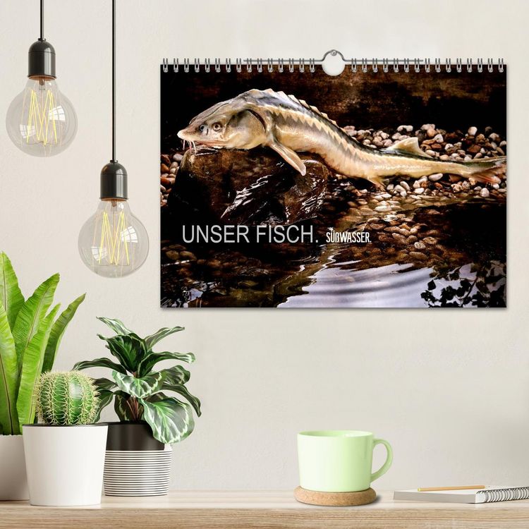 Produktbild: UNSER FISCH. S&Uuml;&szlig;WASSER. (Wandkalender 2026 DIN A4 quer), CALVENDO Monatskalender