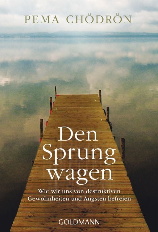 Produktbild: Den Sprung wagen