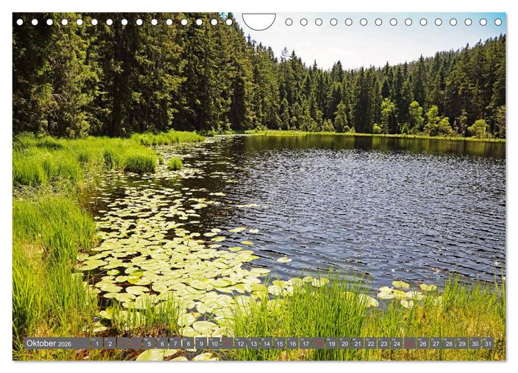 Produktbild: Schwarzwald-Wanderungen (Wandkalender 2026 DIN A4 quer), CALVENDO Monatskalender
