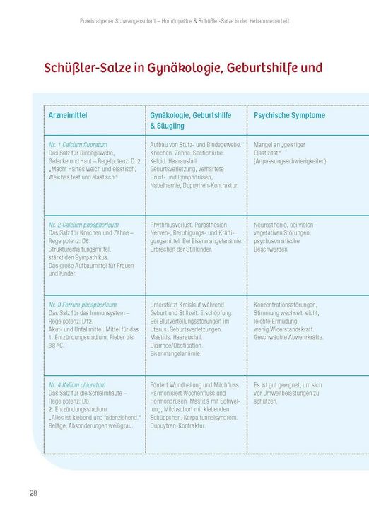 Produktbild: Praxisratgeber Schwangerschaft