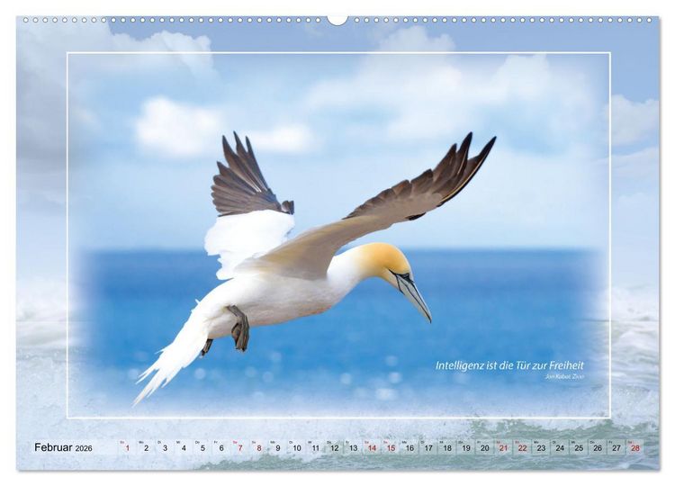 Produktbild: Insel Gedanken (Wandkalender 2026 DIN A2 quer), CALVENDO Monatskalender