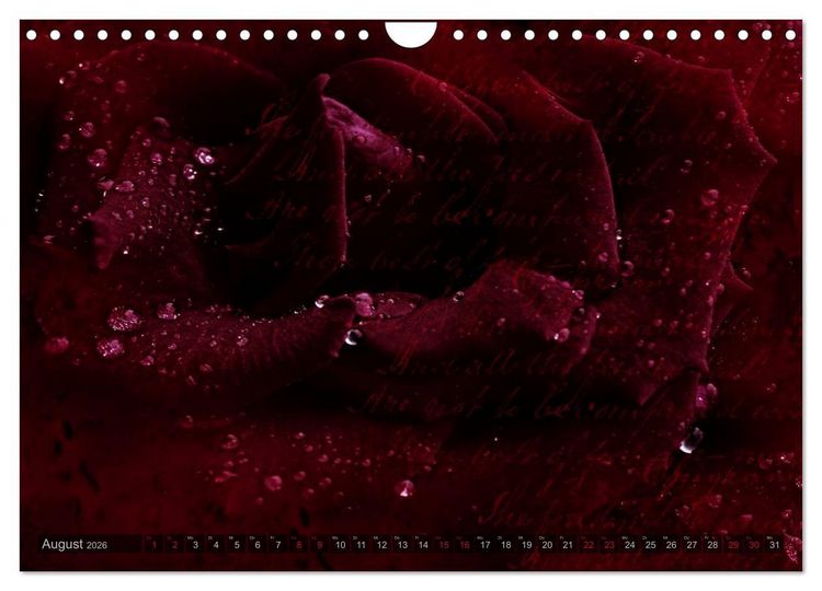 Produktbild: Gothic Rose - Rosen aus dem Garten der Finsternis (Wandkalender 2026 DIN A4 quer), CALVENDO Monatskalender
