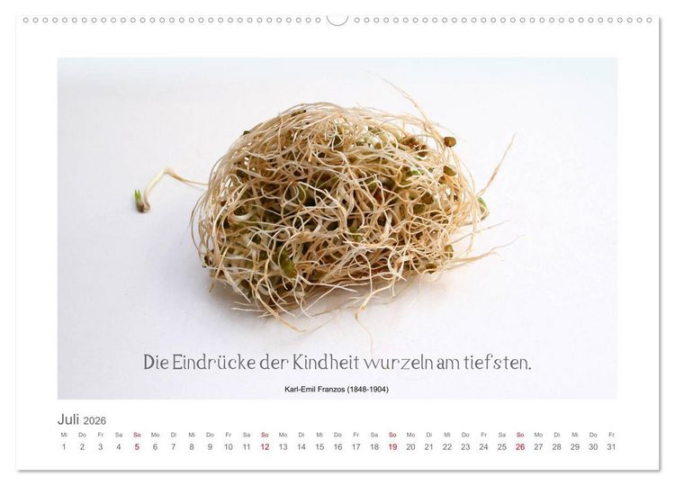 Produktbild: FunnyFood (hochwertiger Premium Wandkalender 2026 DIN A2 quer), Kunstdruck in Hochglanz