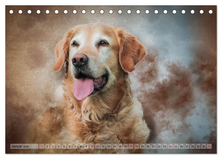Produktbild: Jagdhunde im Portrait (Tischkalender 2026 DIN A5 quer), CALVENDO Monatskalender