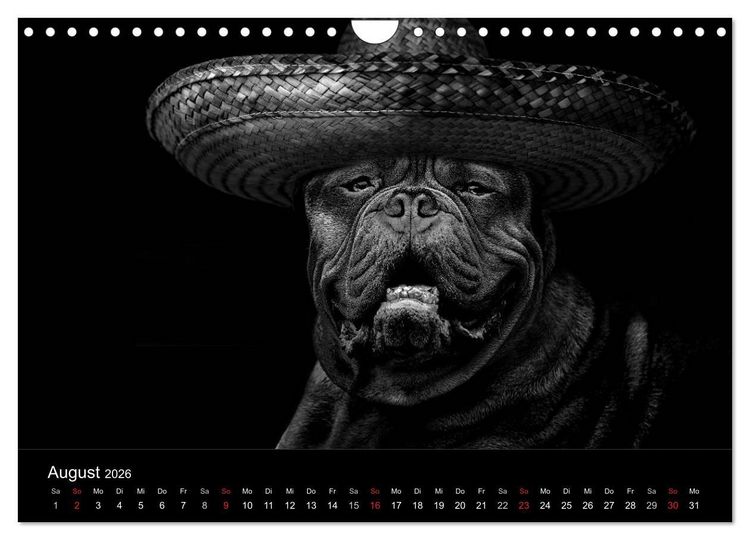 Produktbild: H&uuml;tehunde (Wandkalender 2026 DIN A4 quer), CALVENDO Monatskalender