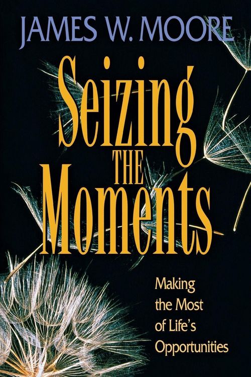 Produktbild: Seizing the Moments