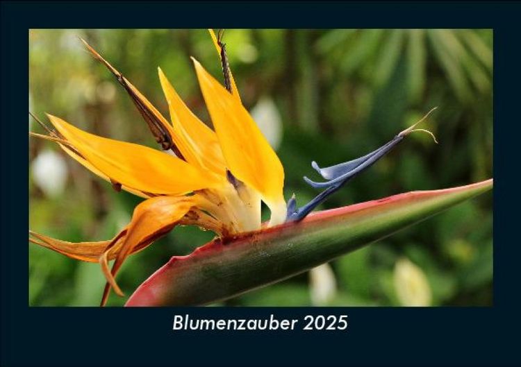 Produktbild: Blumenzauber 2025 Fotokalender DIN A5
