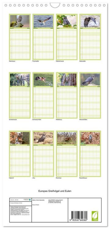 Produktbild: Familienplaner 2026 - Europas Greifv&ouml;gel und Eulen mit 5 Spalten (Wandkalender, 21 x 45 cm) CALVENDO