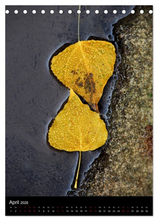 Produktbild: NATUREART - KUNST IN DER NATUR (Tischkalender 2026 DIN A5 hoch), CALVENDO Monatskalender