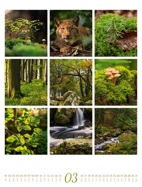 Produktbild: Inspiration Natur Kalender 2027