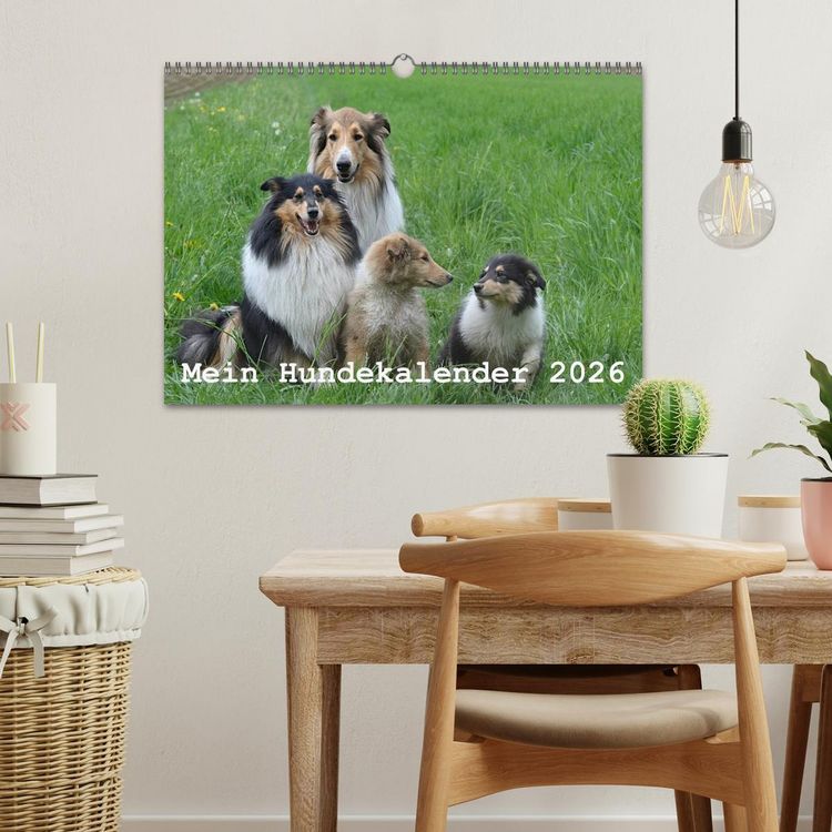 Produktbild: Mein Hundekalender 2026 (Wandkalender 2026 DIN A3 quer), CALVENDO Monatskalender