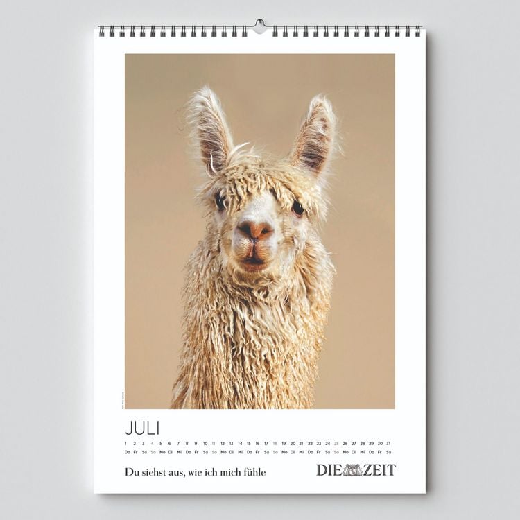 Produktbild: DIE ZEIT Kalender 2027