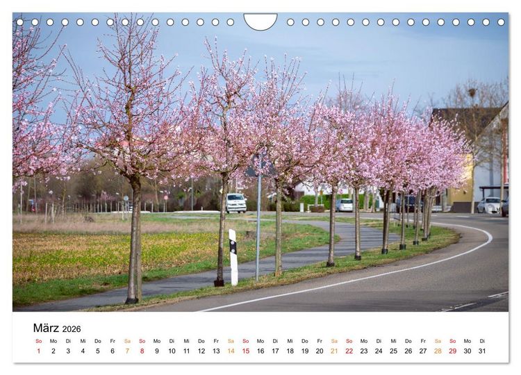Produktbild: Die Hufeisengemeinde Br&uuml;hl (Wandkalender 2026 DIN A4 quer), CALVENDO Monatskalender