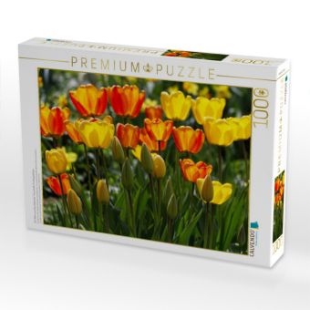 Produktbild: CALVENDO Puzzle Ein Motiv aus dem Kalender Traumhafte Fr&uuml;hlingsbl&uuml;her | 1000 Teile Lege-Gr&ouml;&szlig;e 64x48cm Foto-Puzzle f&uuml;r gl&uuml;ckliche Stunden