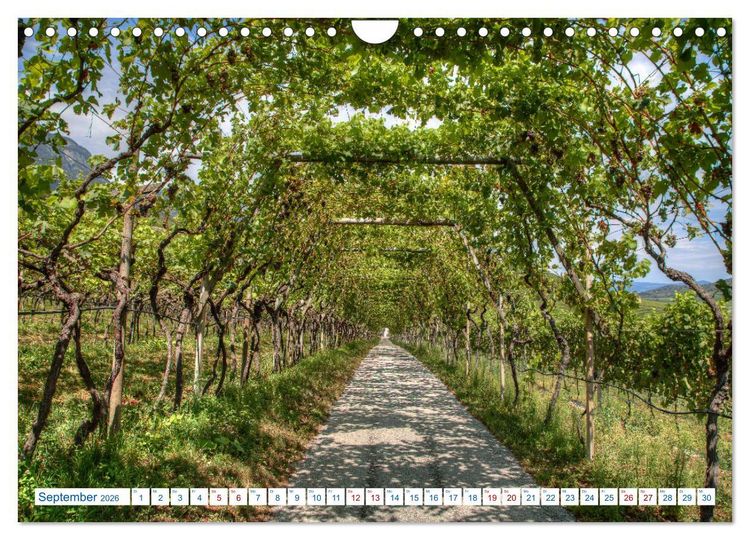 Produktbild: S&uuml;dtiroler Impressionen (Wandkalender 2026 DIN A4 quer), CALVENDO Monatskalender