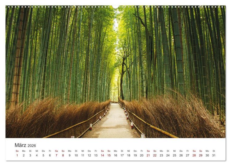 Produktbild: Japanischer Herbst und Laub (Wandkalender 2026 DIN A2 quer), CALVENDO Monatskalender