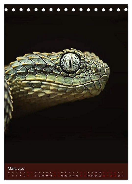 Produktbild: The Power Of Snake (Tischkalender 2027 DIN A5 hoch), CALVENDO Monatskalender