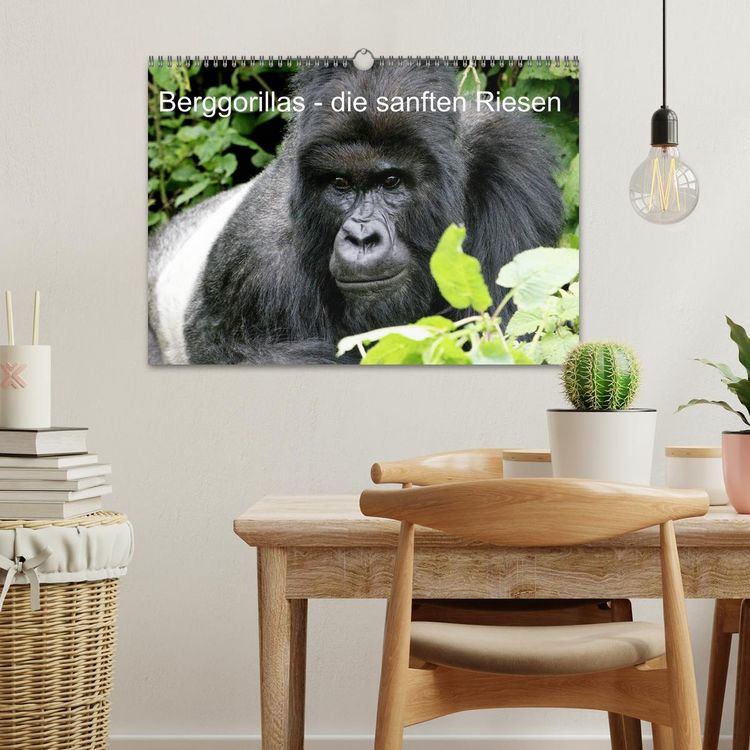 Produktbild: Berggorillas - die sanften Riesen (Wandkalender 2026 DIN A3 quer), CALVENDO Monatskalender
