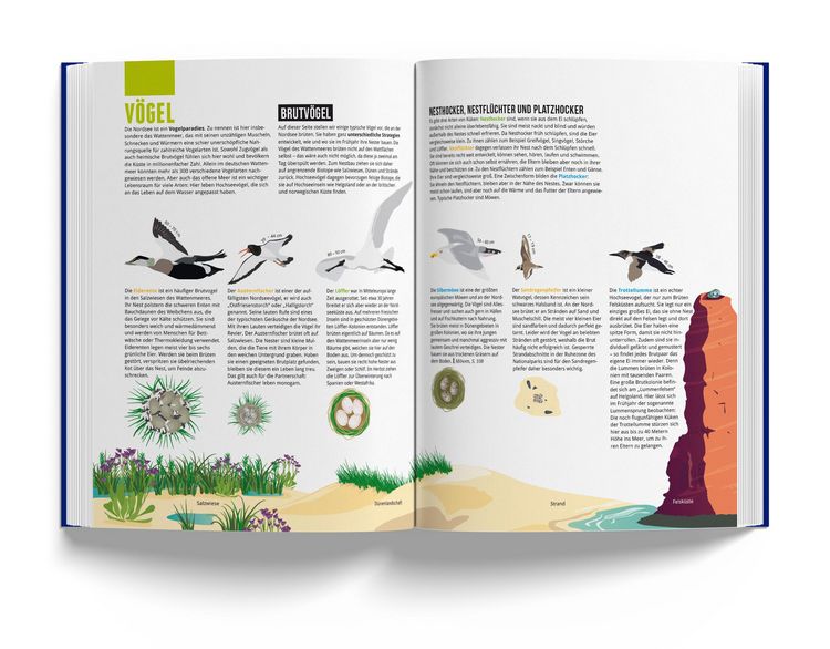 Produktbild: Das Nordseebuch