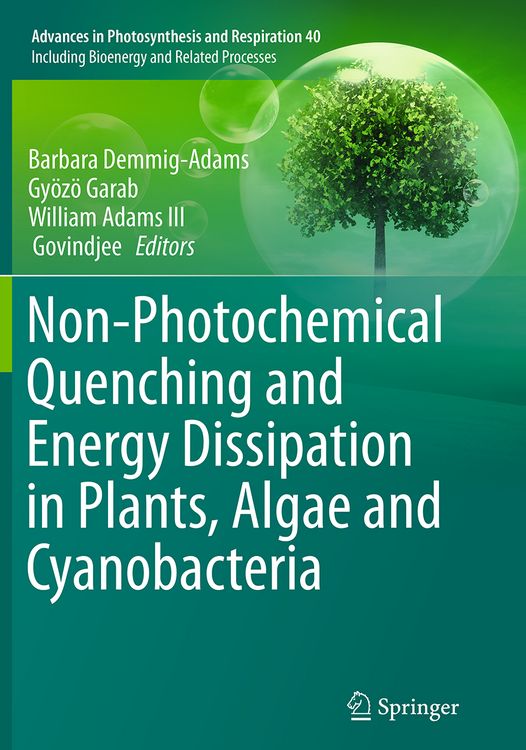Produktbild: Non-Photochemical Quenching and Energy Dissipation in Plants, Algae and Cyanobacteria