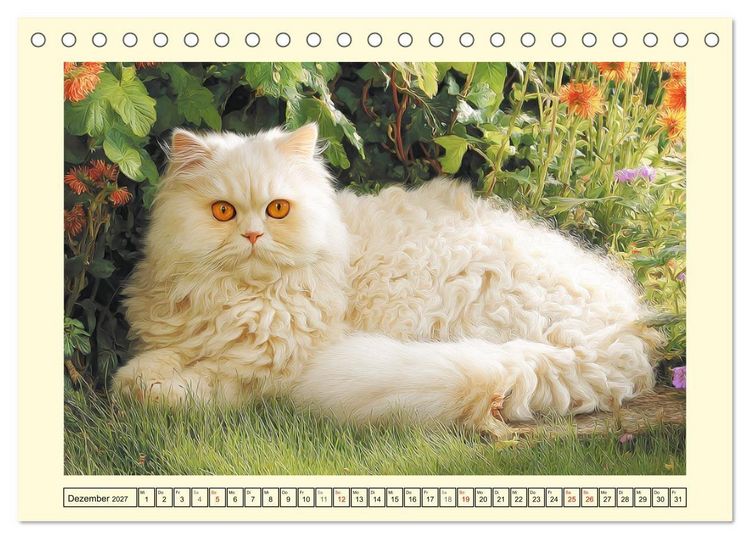 Produktbild: Sch&ouml;ne Katzen. Beliebte Samtpfoten im Garten (Tischkalender 2027 DIN A5 quer), CALVENDO Monatskalender