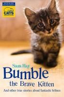 Produktbild: Bumble the Brave Kitten