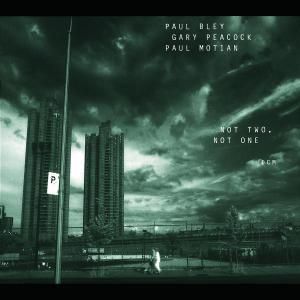 Produktbild: Bley, P: Not Two,Not One