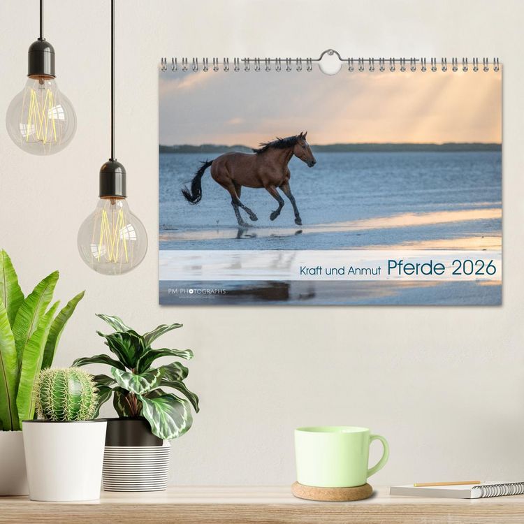 Produktbild: Pferde 2026 Kraft und Anmut (Wandkalender 2026 DIN A4 quer), CALVENDO Monatskalender