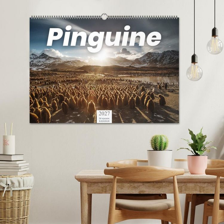 Produktbild: Pinguine - Die sympathischen Frack-Tr&auml;ger (Wandkalender 2027 DIN A2 quer), CALVENDO Monatskalender