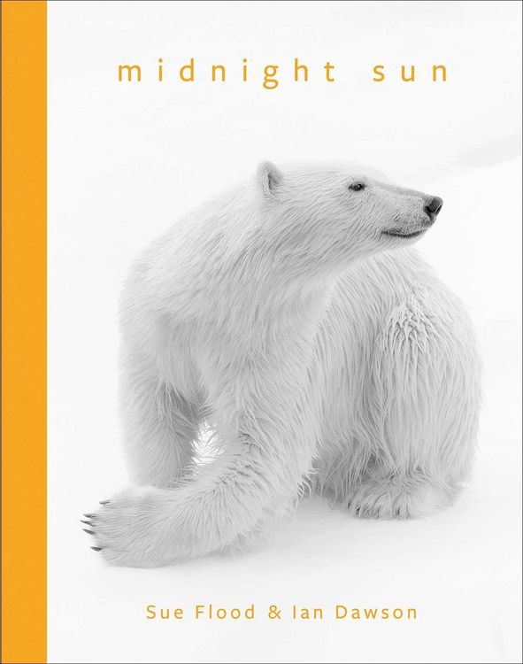 Produktbild: Midnight Sun